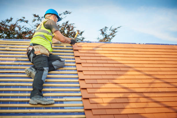 Best Gutter Replacement  in Colleyville, TX